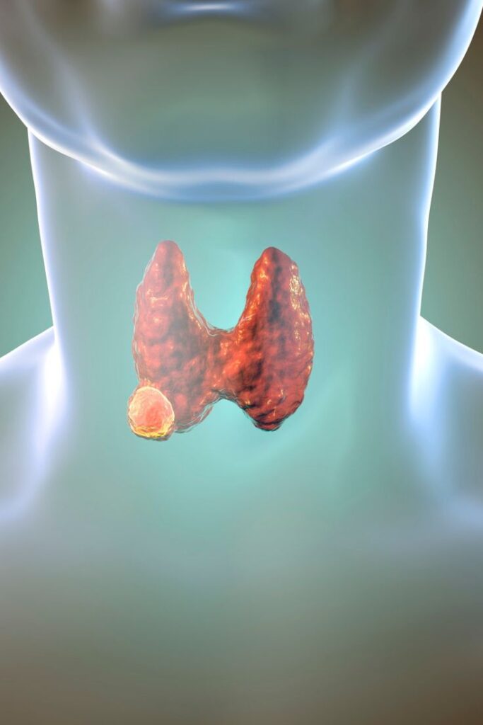 head and neck cancer usually begins in the…